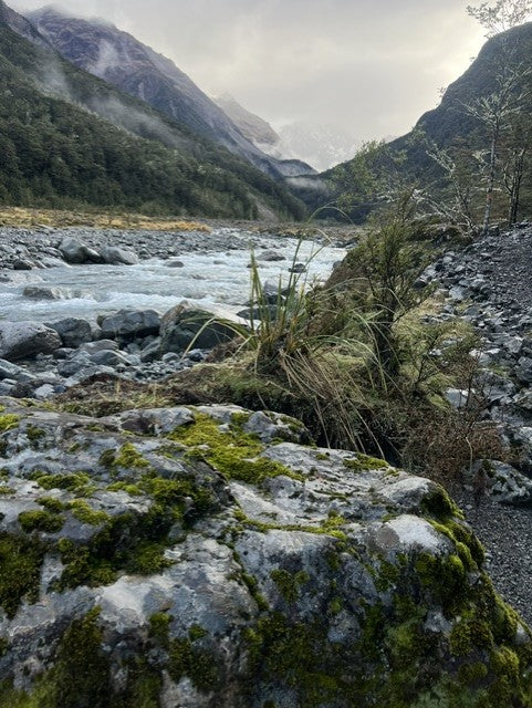 Arthur's Pass: Klondyke Corner to Crow Hut