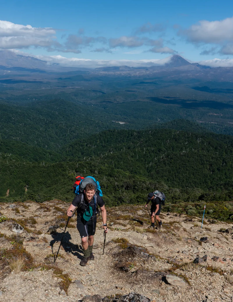 Urchin Track to Waipakihi Valley: A North Island Tramping Adventure