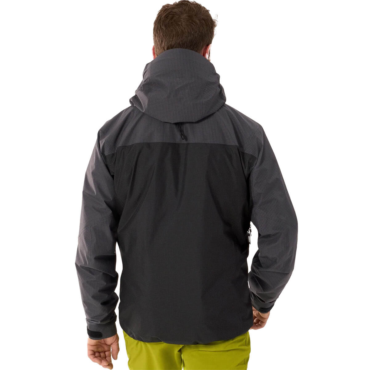 Back, on model
