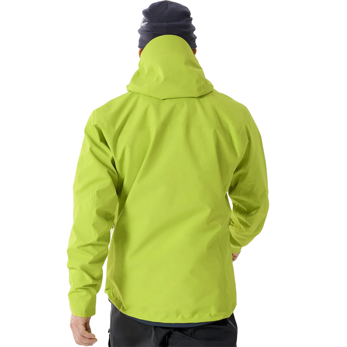 Back, on model