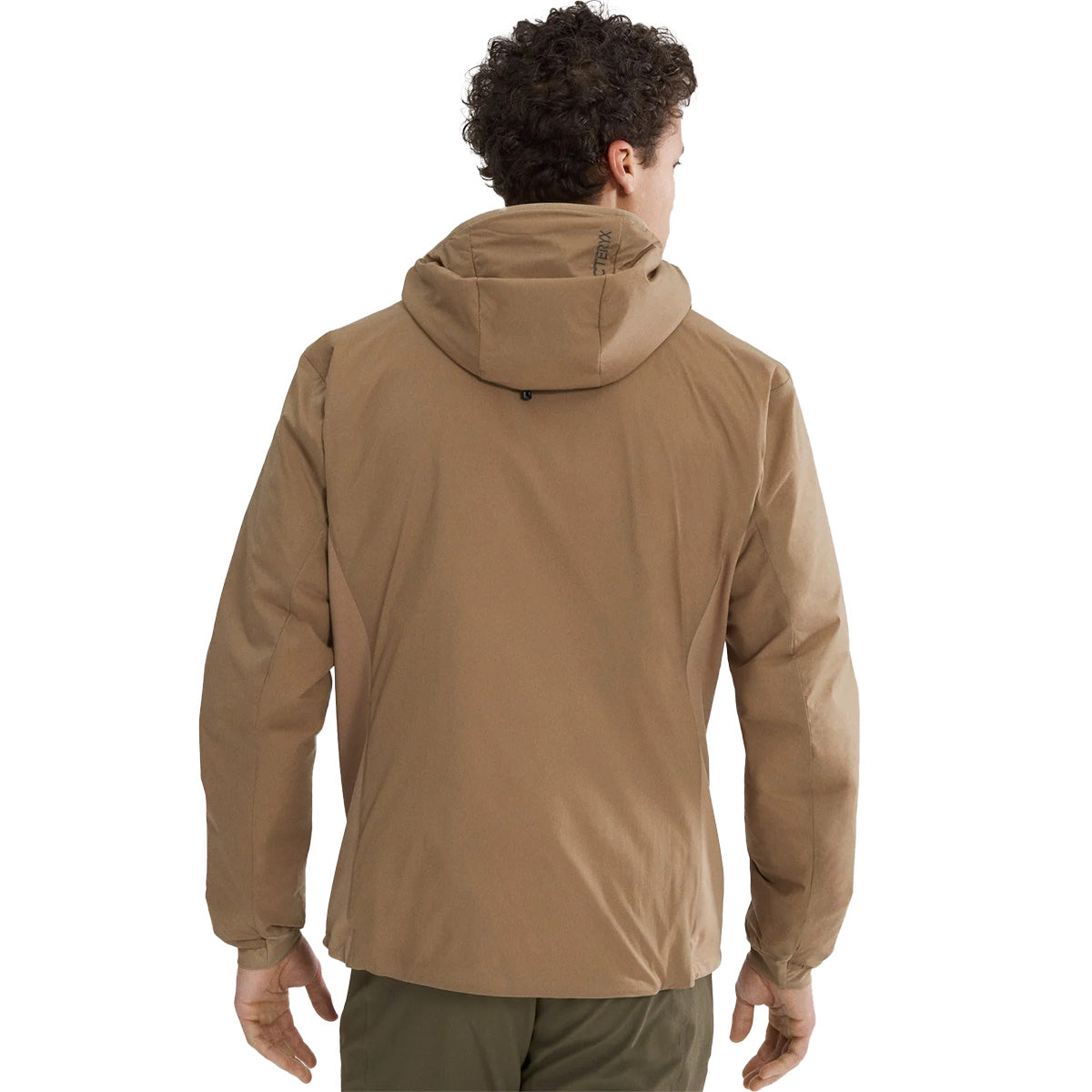 Back, on model