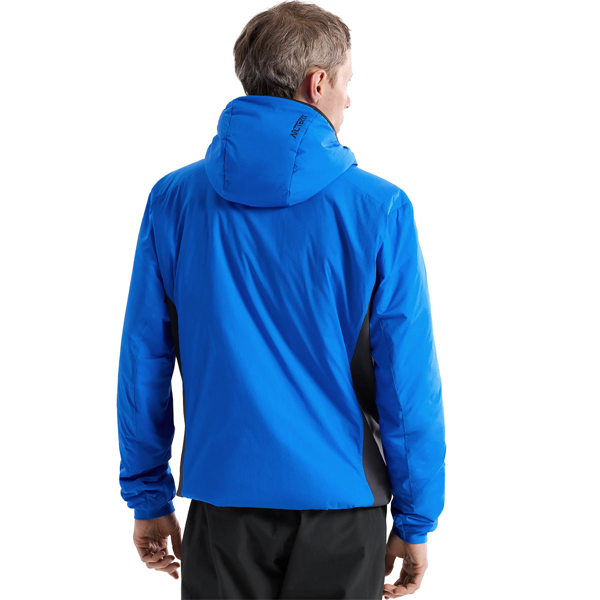 Back, on model