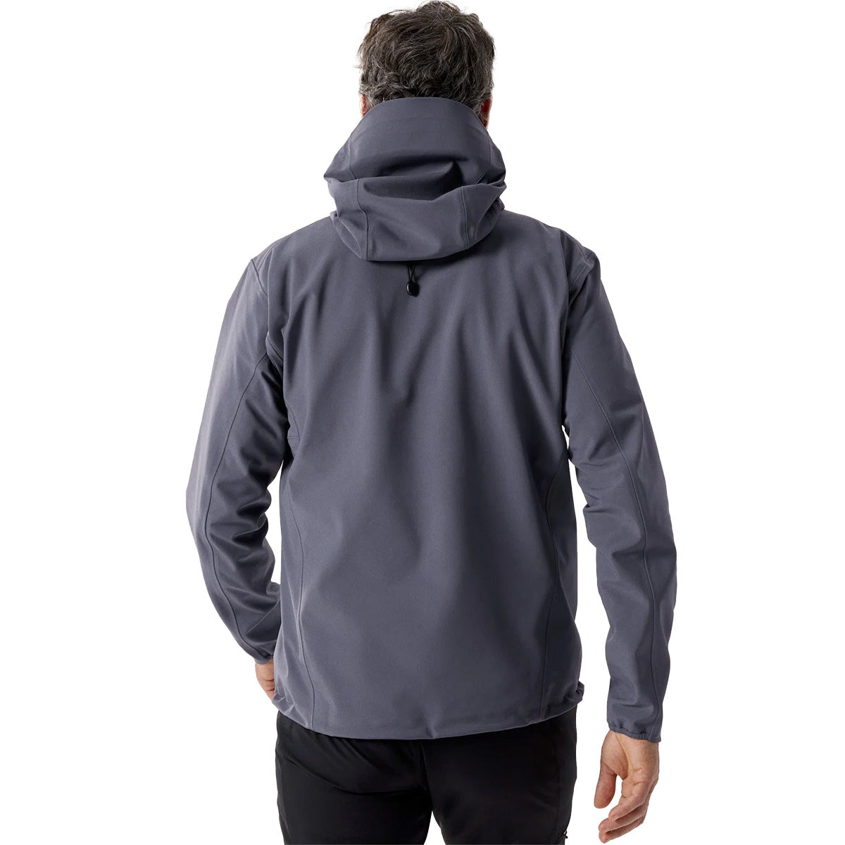 Back, on model