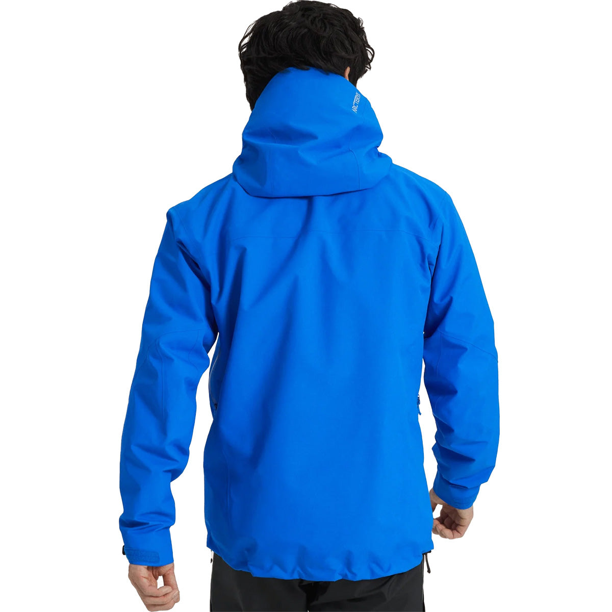 Back, on model