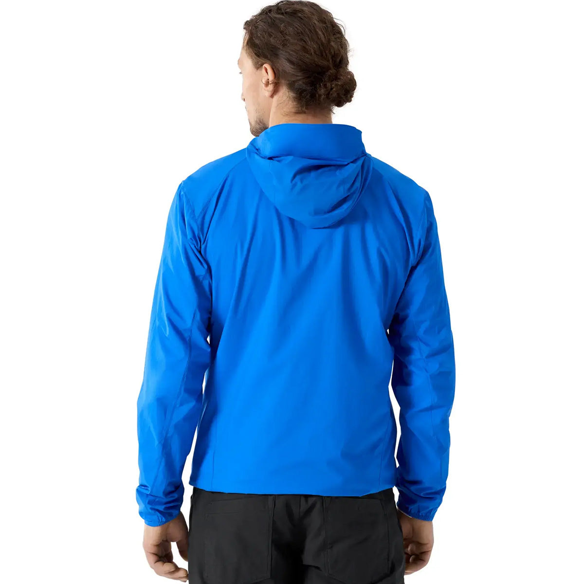 Back, on model