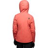 Back, on model