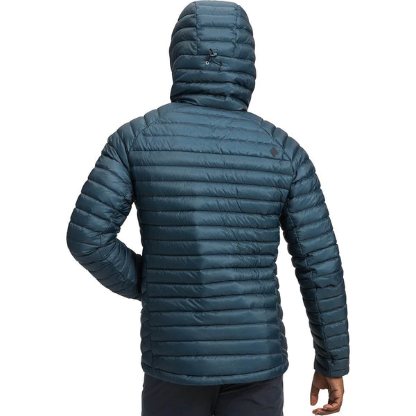 Back, on model