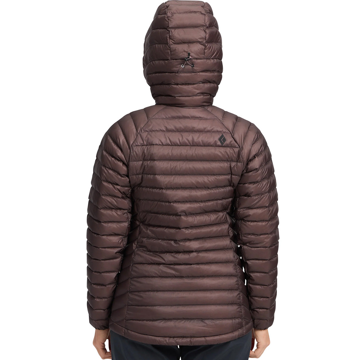 Back, on model
