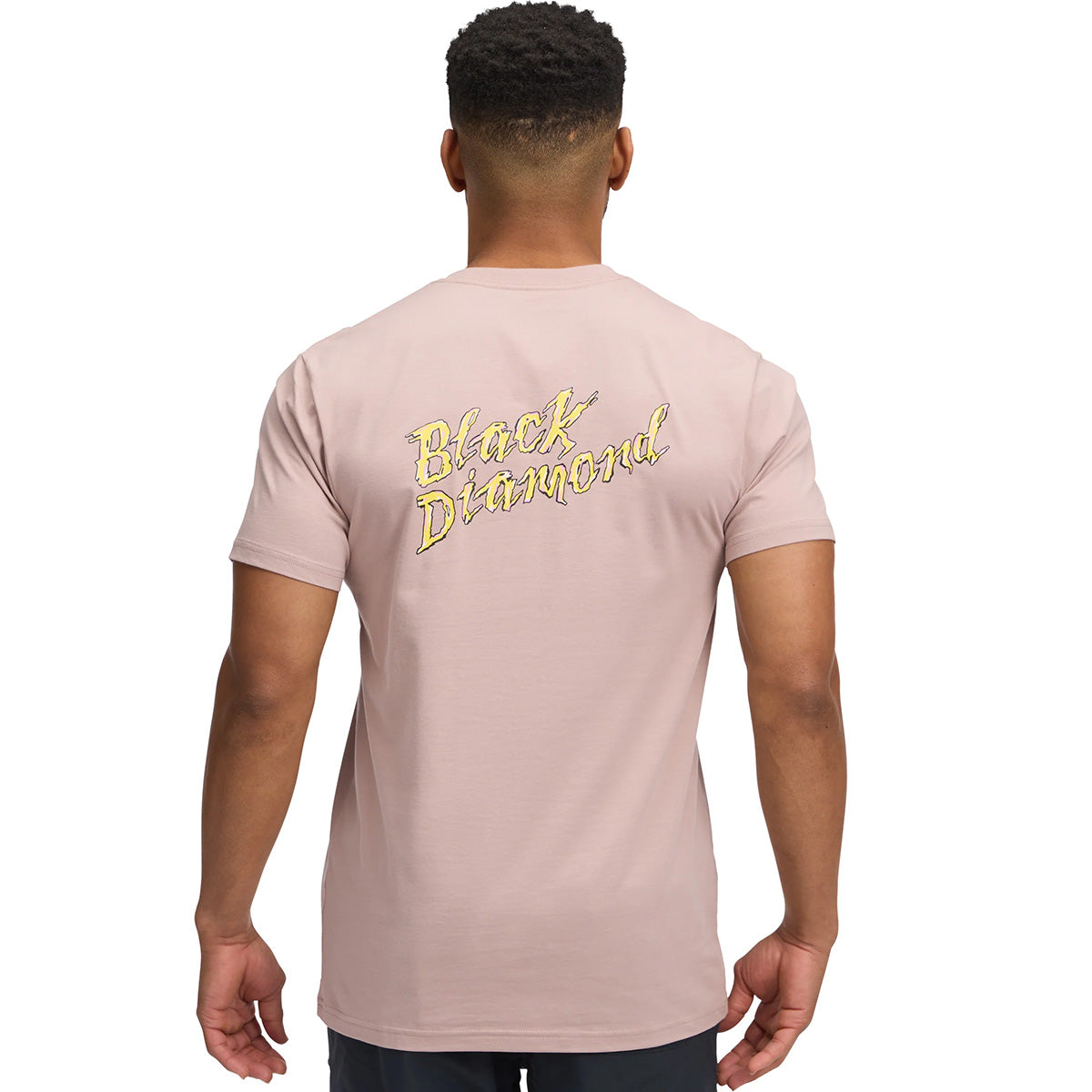 Back, on model