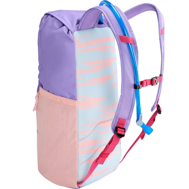 Aster 3/4 back view