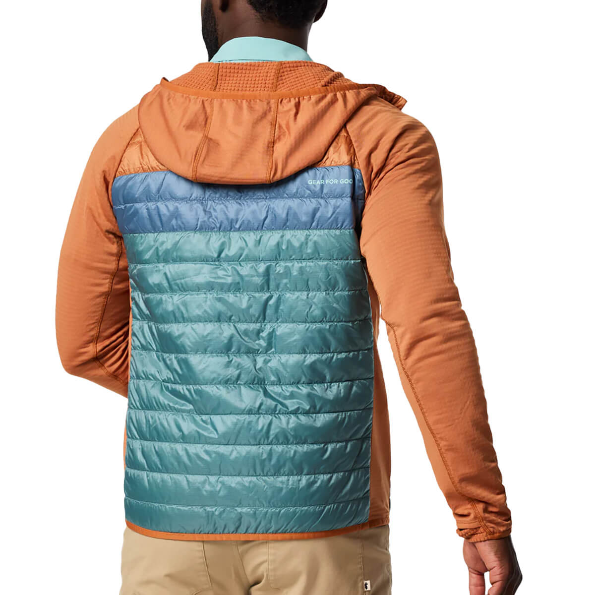 Back, on model