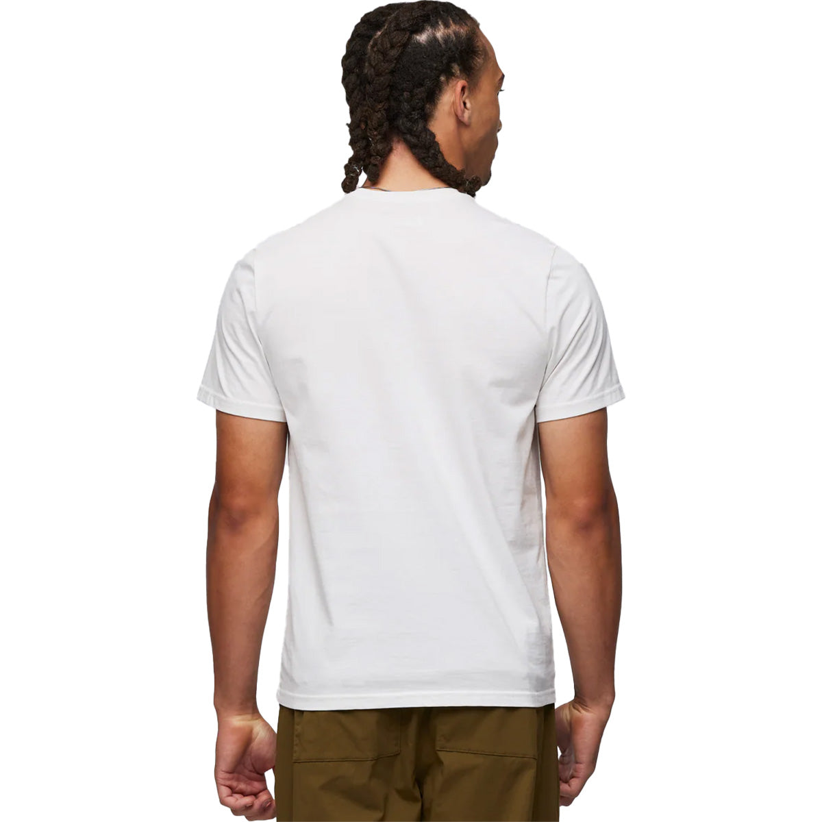 Back, on model