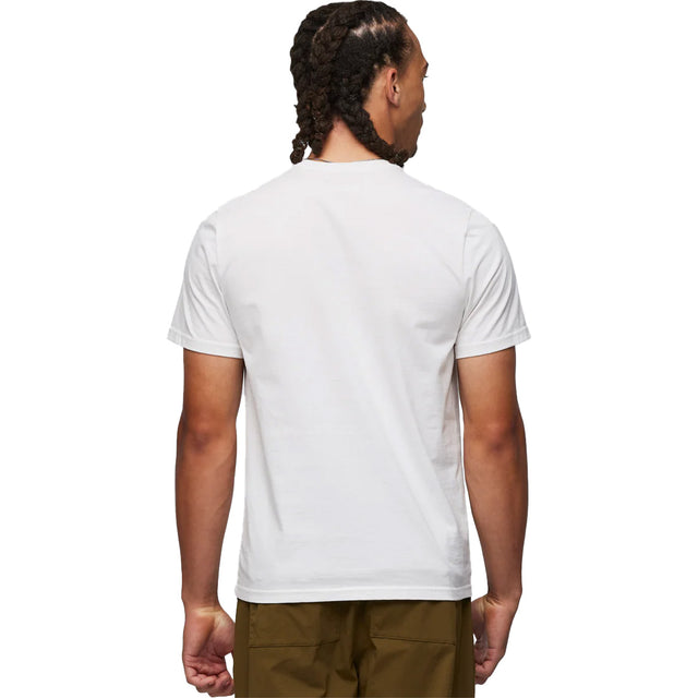 Back, on model