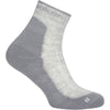 Blizzard Heather/Alloy