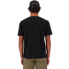 Black back, on model