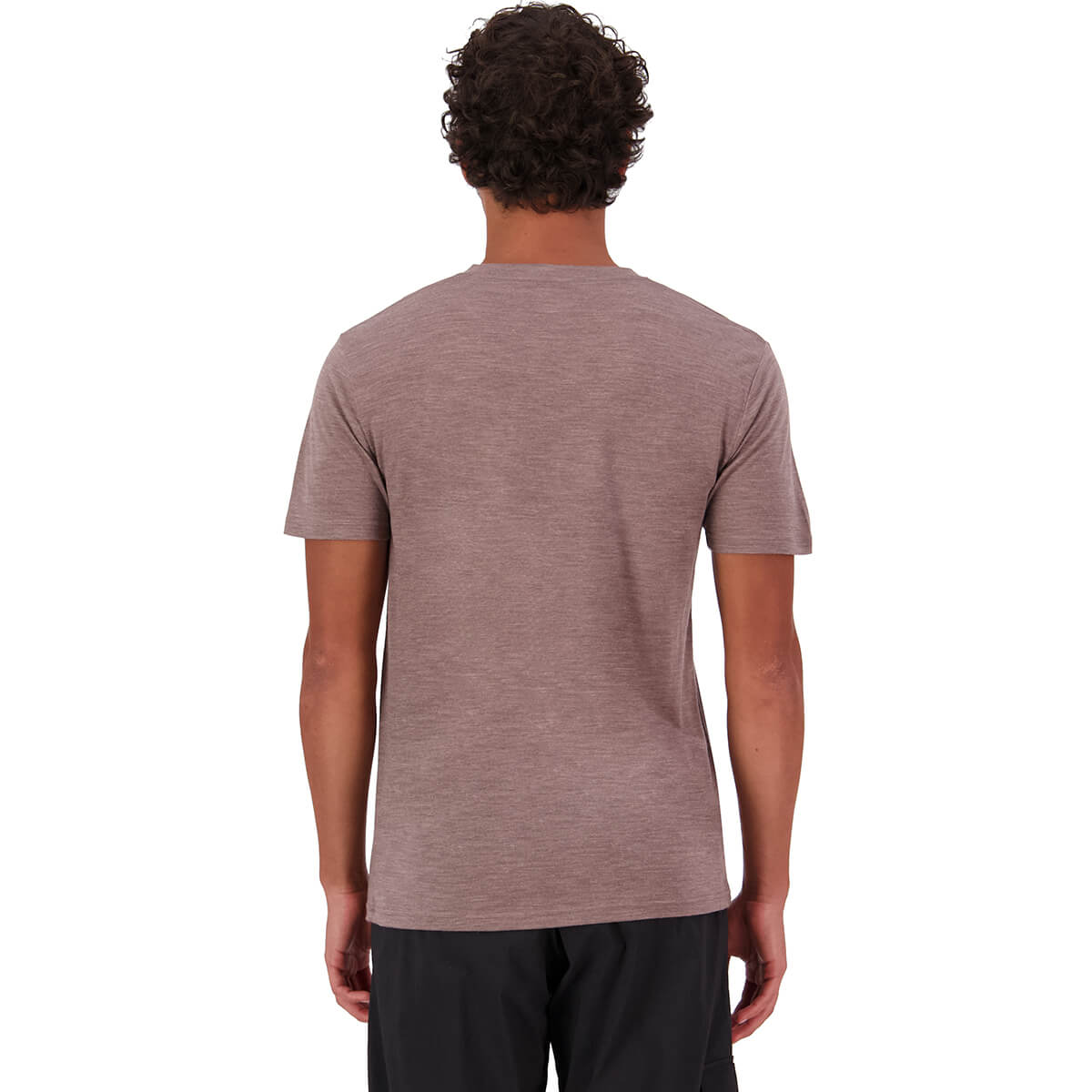 Chestnut back, on model