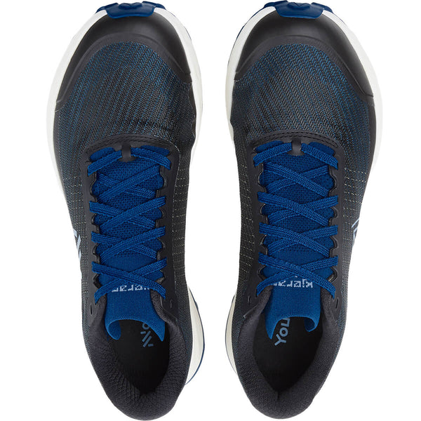 Dark Blue pair, top view