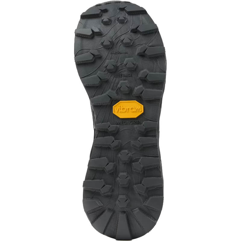 Black sole