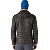 Back, on model