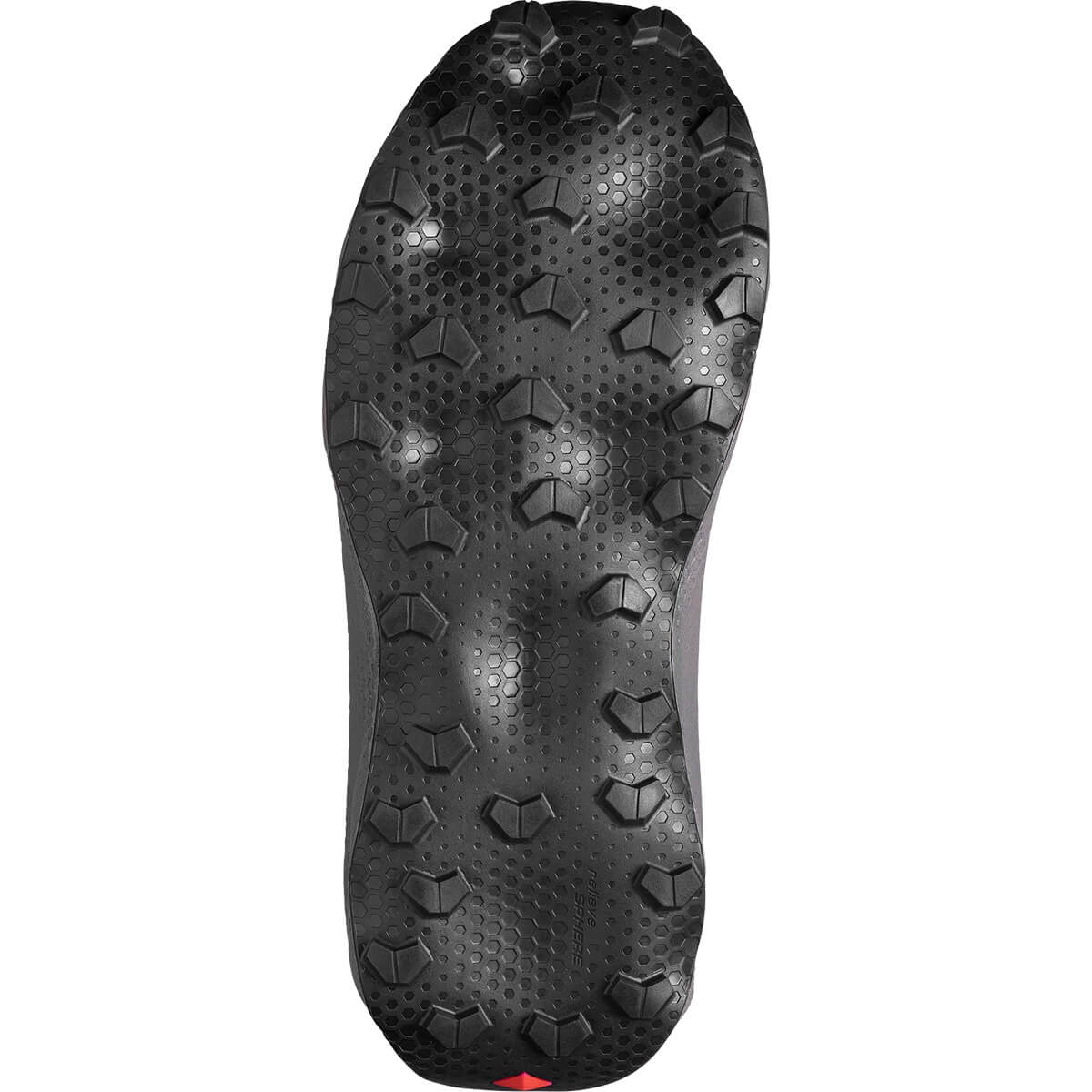 Sole