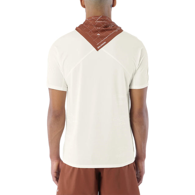 Back, on model