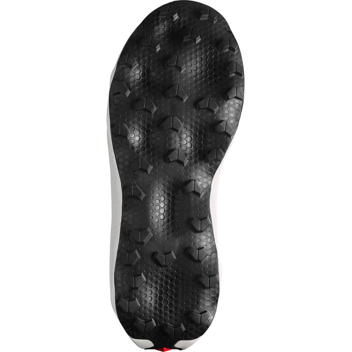 Sole