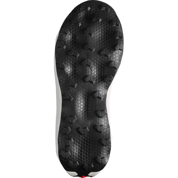 Sole