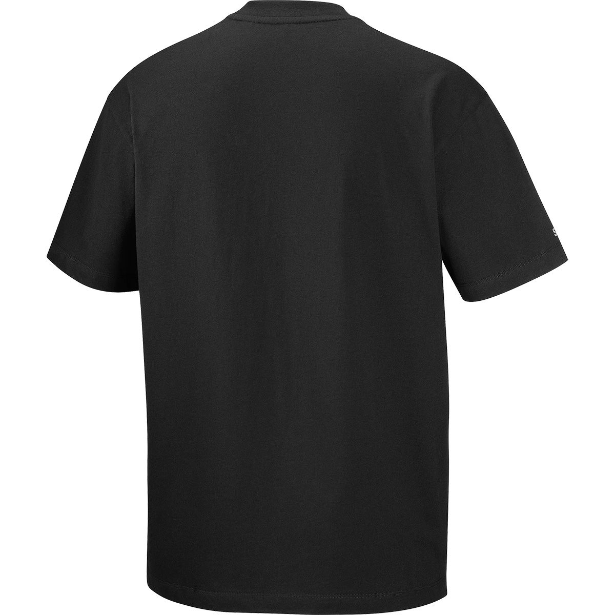 Back view
