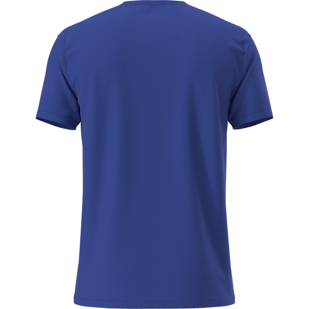 Back view
