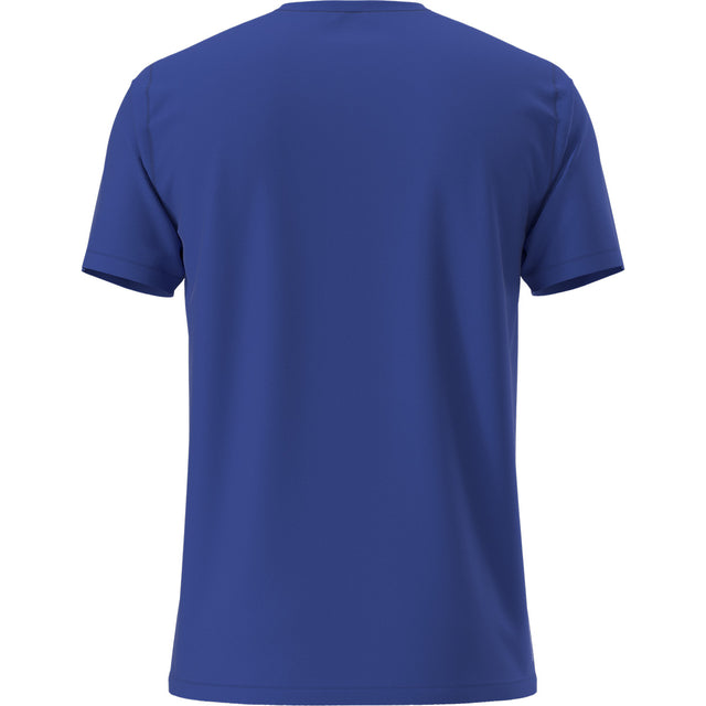Back view