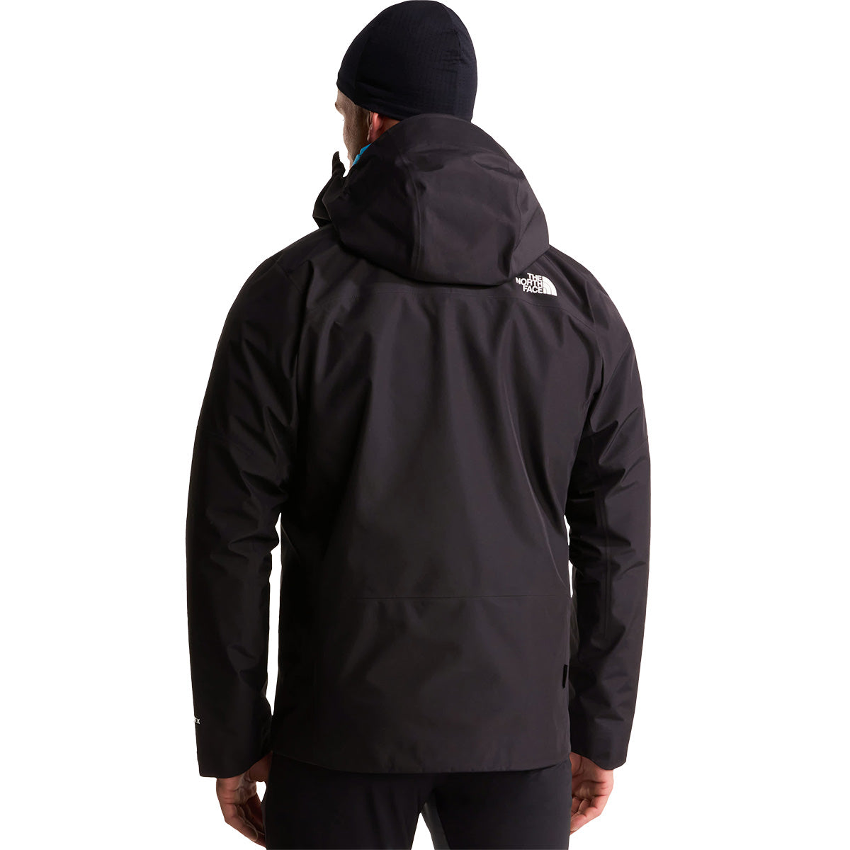 Back, on model