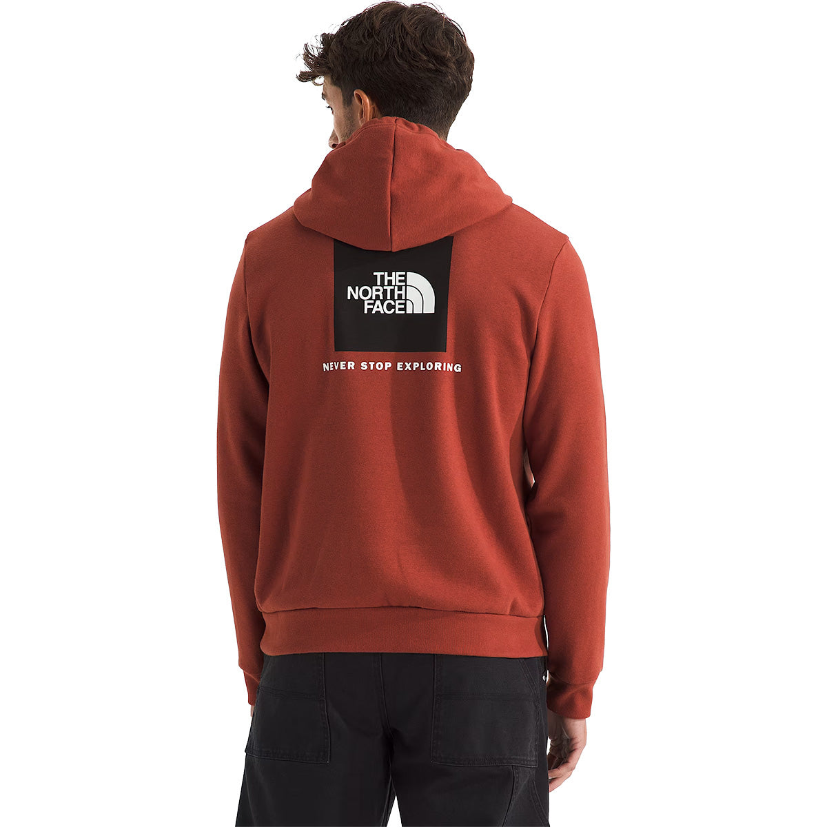 Back, on model