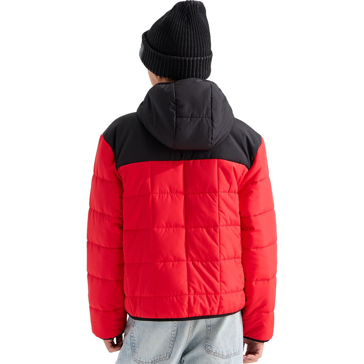 Back, on model