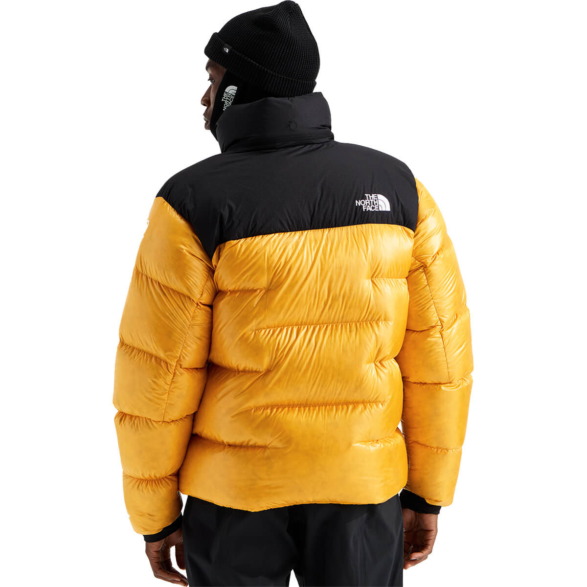 Back, on model