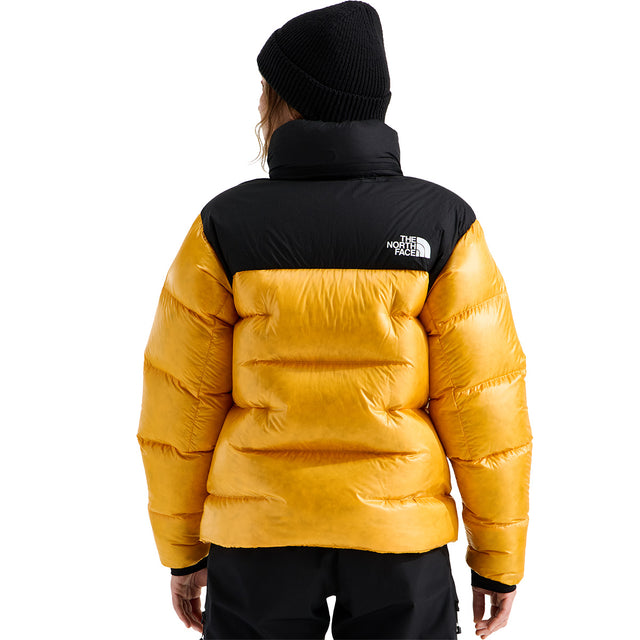 Back, on model