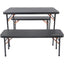 3-Piece Picnic Table and Bench Set