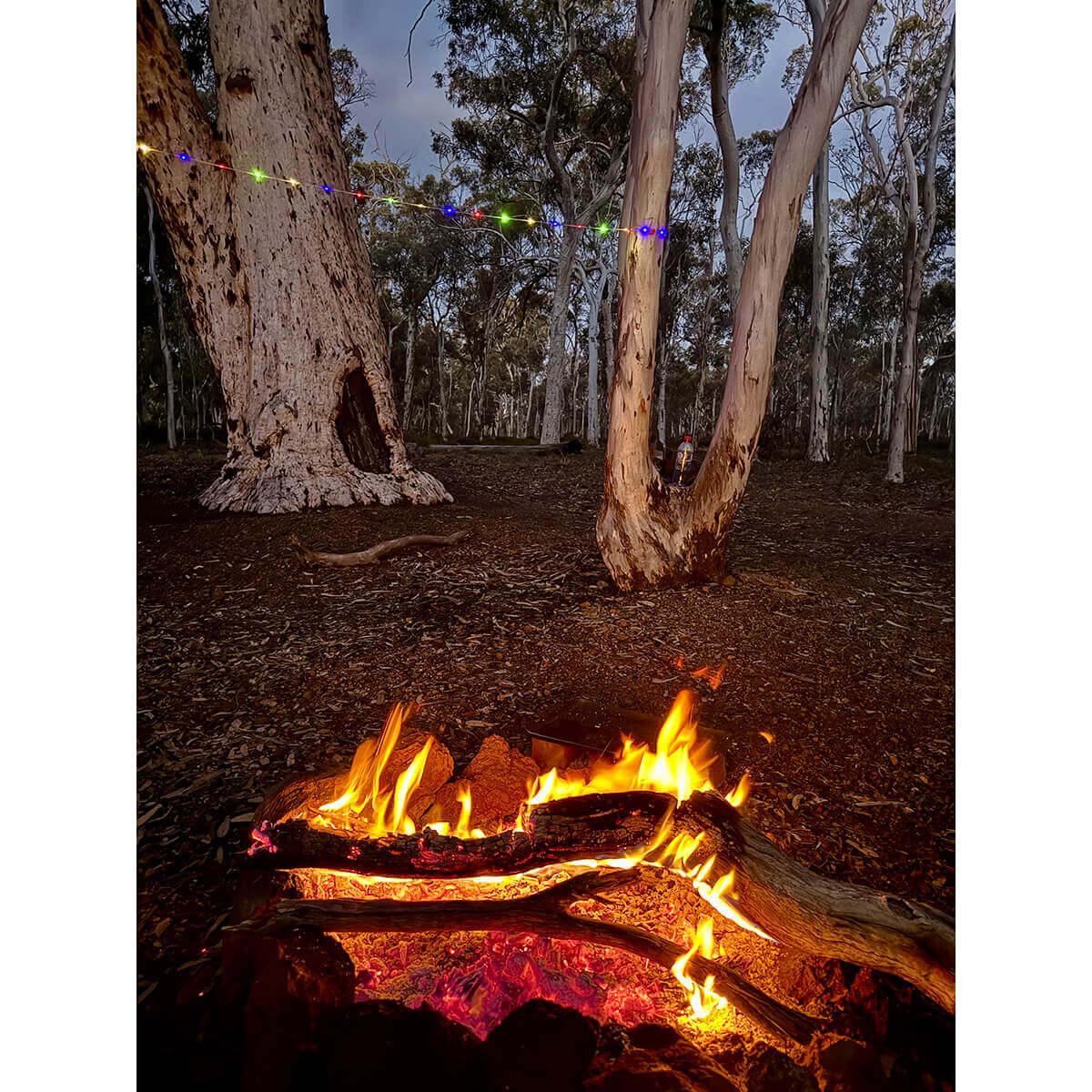 String lights shown lit at a camp site