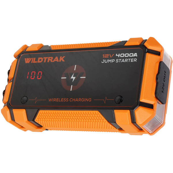 3/4 view, torch on right