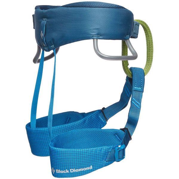 Momentum Kid's Harness