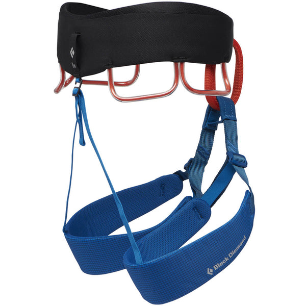 Momentum Men's Harness