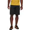 Sierra Men's Shorts