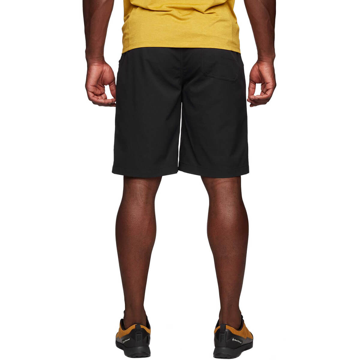 Sierra Men's Shorts