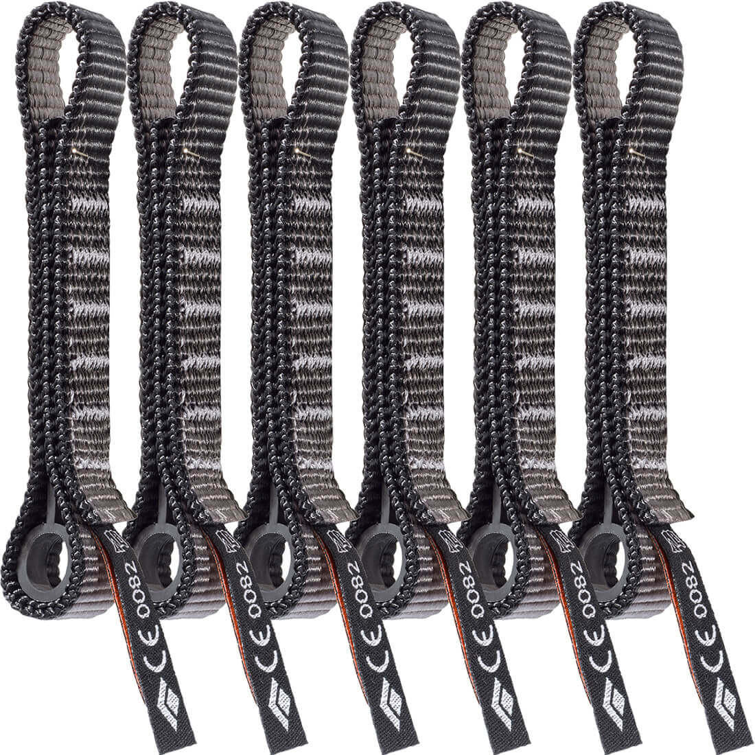 Standard Dogbone 6-Pack