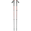 Trail Trekking Poles (Pair)