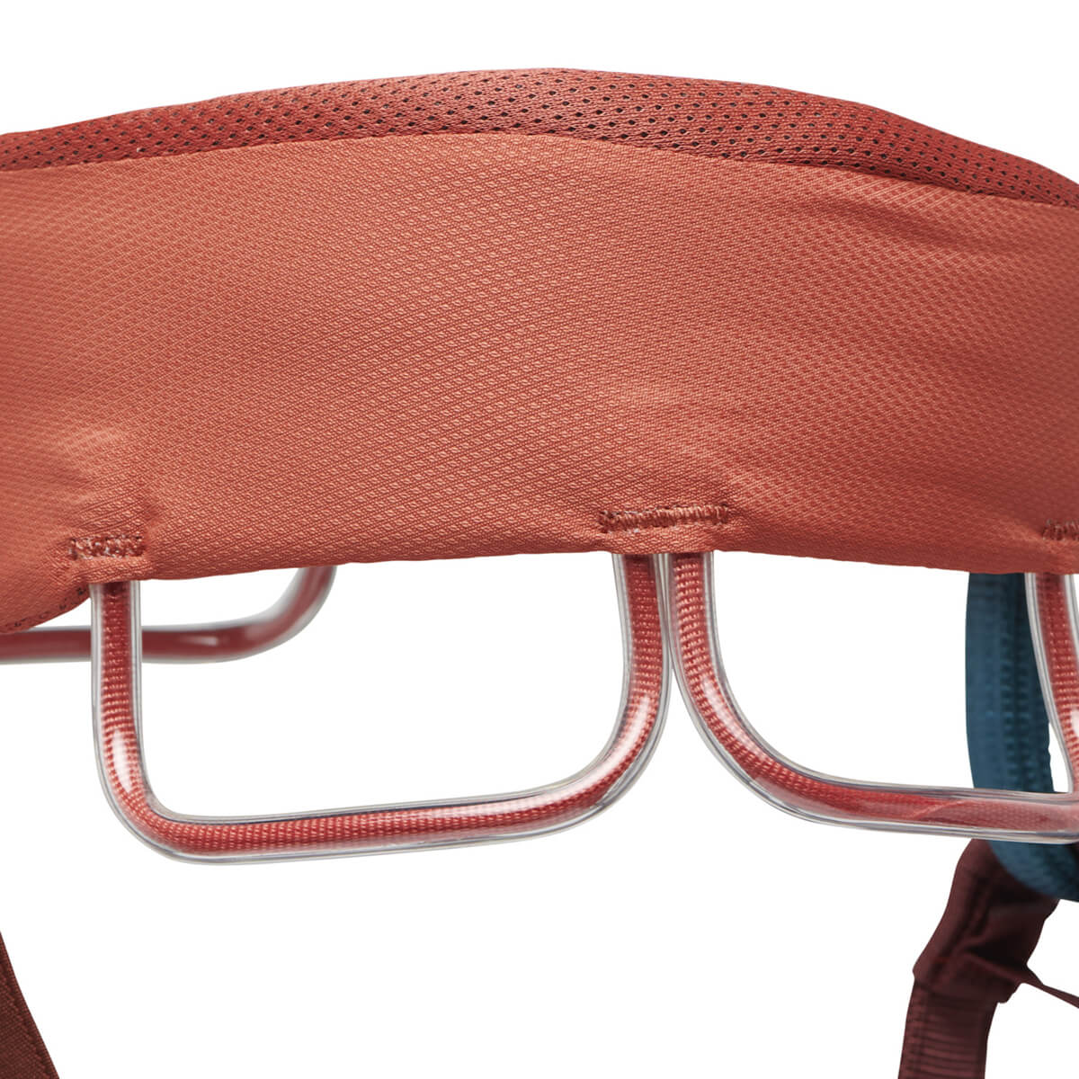 Momentum Women's Harness