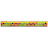 Ice Line Golden Dry Rope 8.1mm x 60m