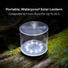 Luci Original Clear Lantern