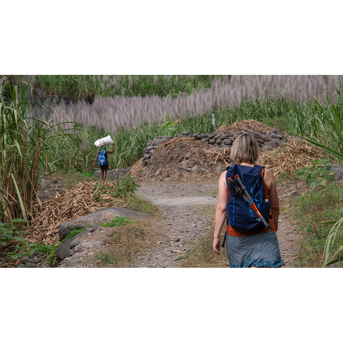Summit Hike 25 Daypack
