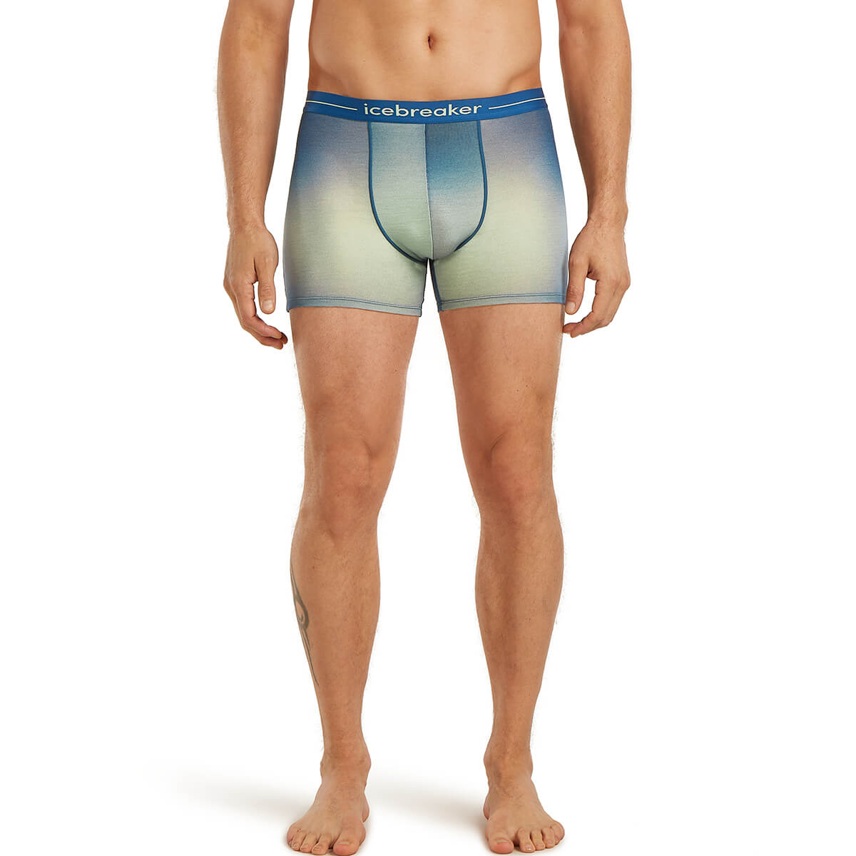Merino 150 Anatomica Transition Men's Boxers