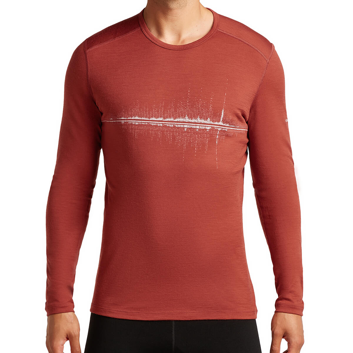 Merino 200 Oasis Snow Wave Men's LS Crewe